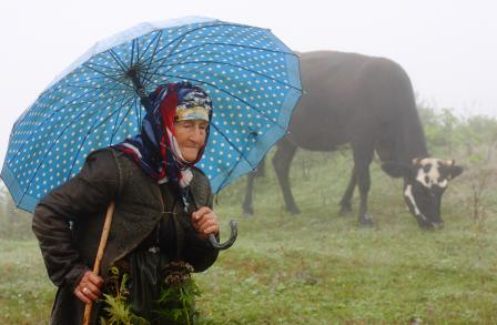 Doğu Karadeniz Yaylaları Özel Tur 4 Gün 3 Gece